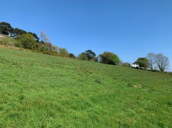 Images for Teignmouth