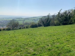 Images for Teignmouth