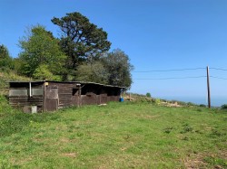 Images for Teignmouth