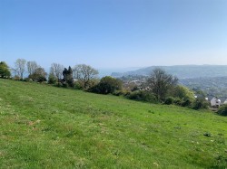 Images for Teignmouth