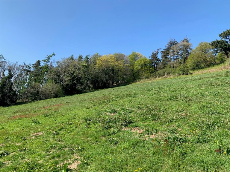 Images for Teignmouth