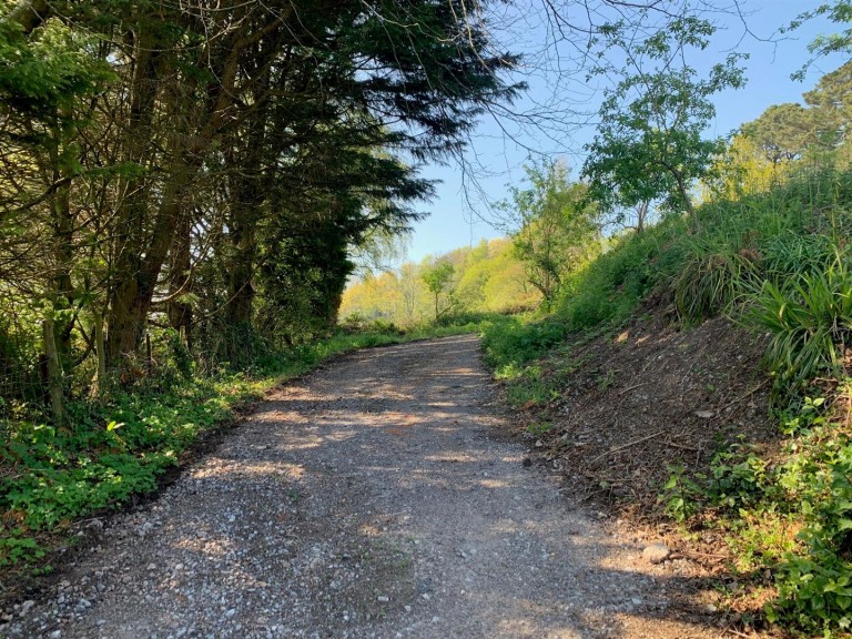 Images for Teignmouth