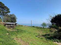 Images for Teignmouth