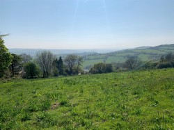 Images for Teignmouth