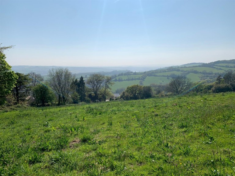 Images for Teignmouth