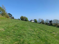 Images for Teignmouth