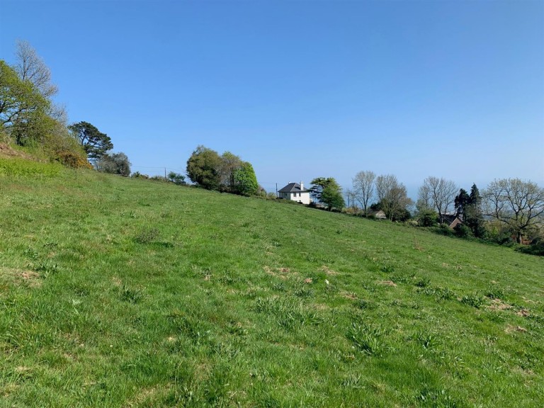 Images for Teignmouth