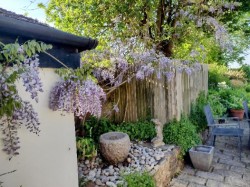 Images for Horwood, Bideford