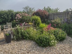 Images for Horwood, Bideford