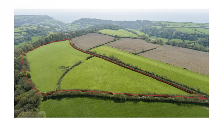 Click the photo for more details of Branscombe, Seaton