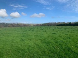 Images for Branscombe, Seaton