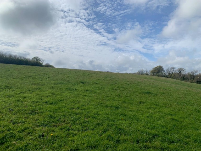 Images for Branscombe, Seaton