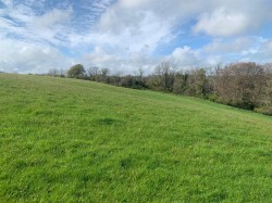 Images for Branscombe, Seaton