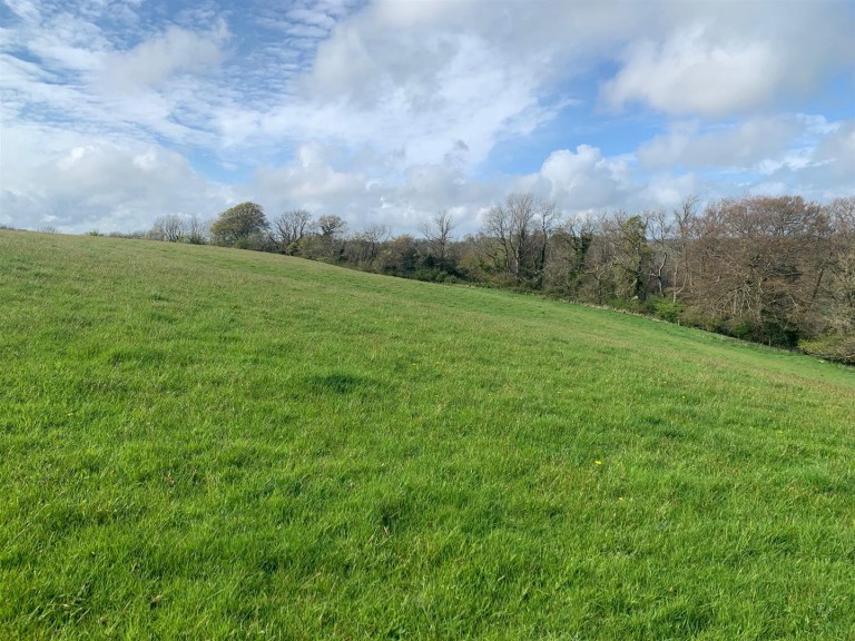 Images for Branscombe, Seaton