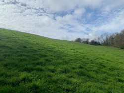 Images for Branscombe, Seaton