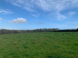 Images for Branscombe, Seaton