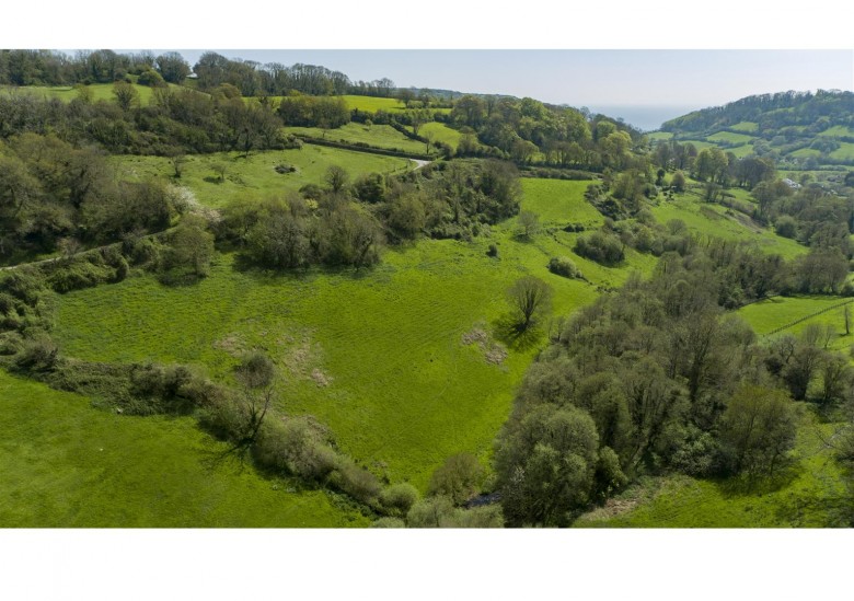 Click the photo for more details of Branscombe, Seaton