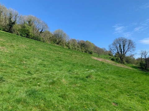 Click the photo for more details of Branscombe, Seaton