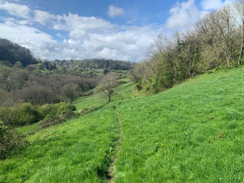 Click the photo for more details of Branscombe, Seaton