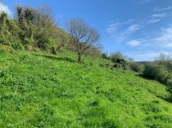 Images for Branscombe, Seaton