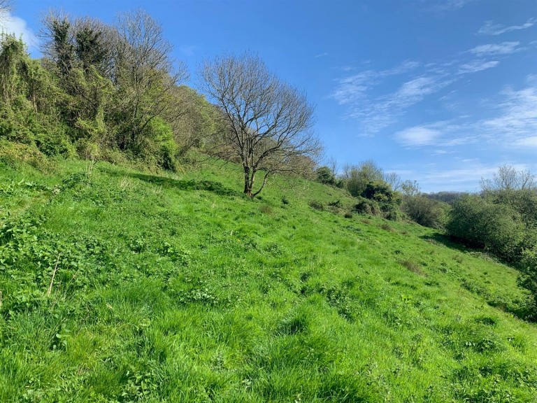 Images for Branscombe, Seaton