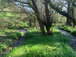 Images for Branscombe, Seaton