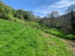 Images for Branscombe, Seaton