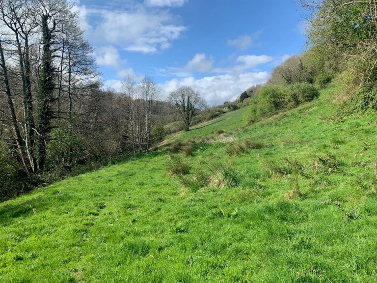 Images for Branscombe, Seaton