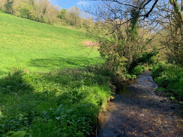 Images for Branscombe, Seaton