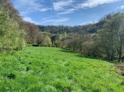 Images for Branscombe, Seaton