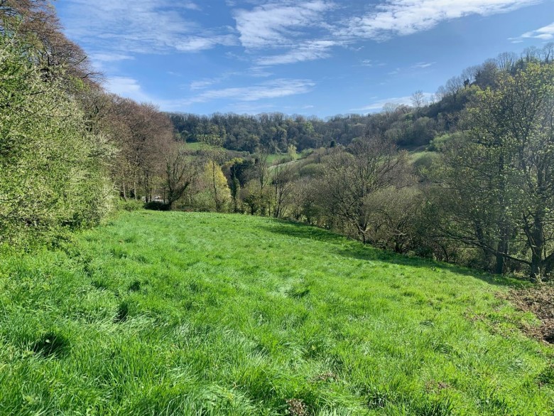 Click the photo for more details of Branscombe, Seaton