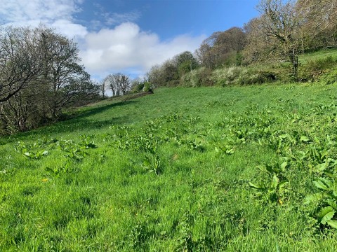 Click the photo for more details of Branscombe, Seaton