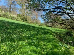 Images for Branscombe, Seaton