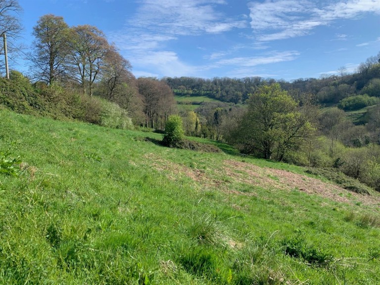 Images for Branscombe, Seaton