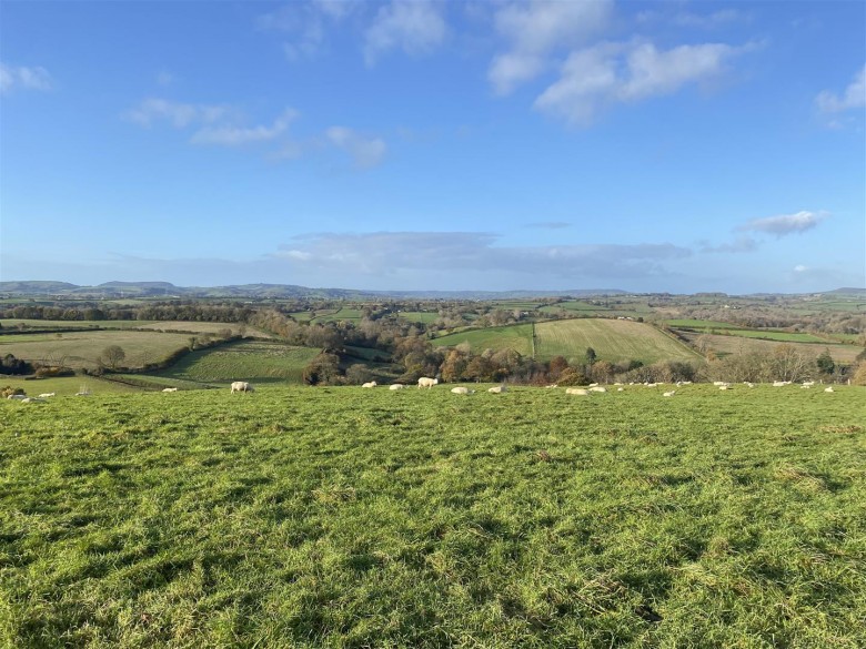 Click the photo for more details of Melplash, Bridport