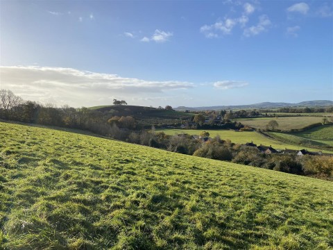 Click the photo for more details of Melplash, Bridport