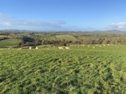 Images for Melplash, Bridport