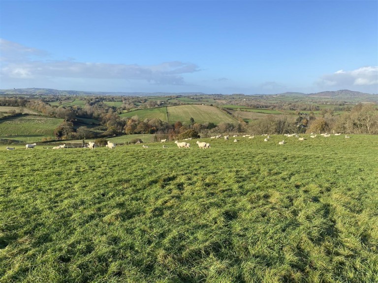 Images for Melplash, Bridport
