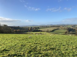 Images for Melplash, Bridport