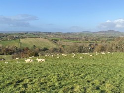Images for Melplash, Bridport