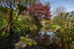 Images for Oare, Lynton