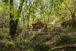 Images for Oare, Lynton