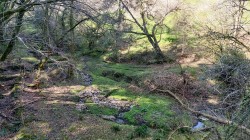 Images for Branscombe, Seaton