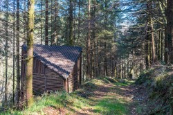 Images for Branscombe, Seaton