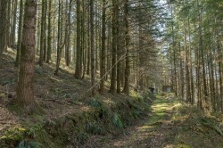 Images for Branscombe, Seaton