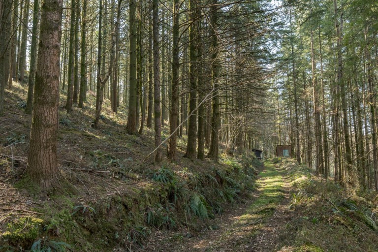 Images for Branscombe, Seaton