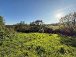 Images for Eype, Bridport