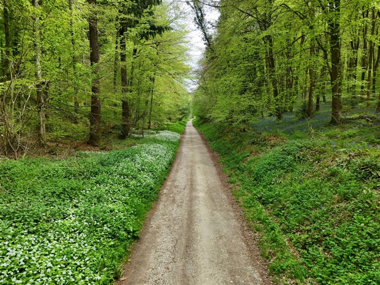 Images for Milton Abbas, Blandford