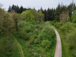Images for Milton Abbas, Blandford