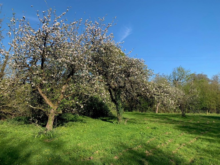 Images for Colebrooke, Crediton